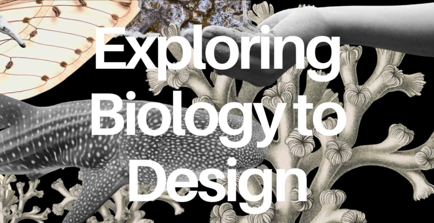 Exploring Biology to Design