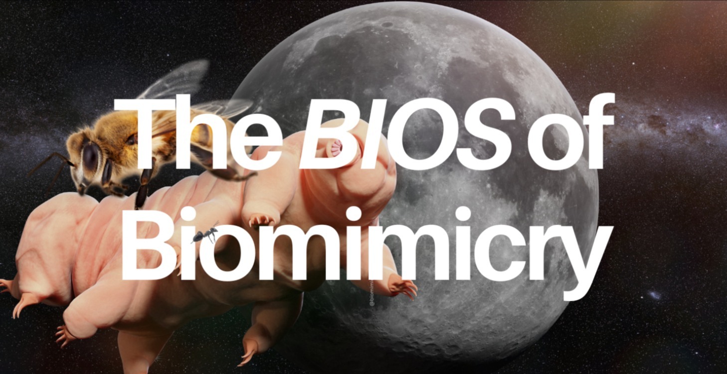 The 'BIOS' of Biomimicry