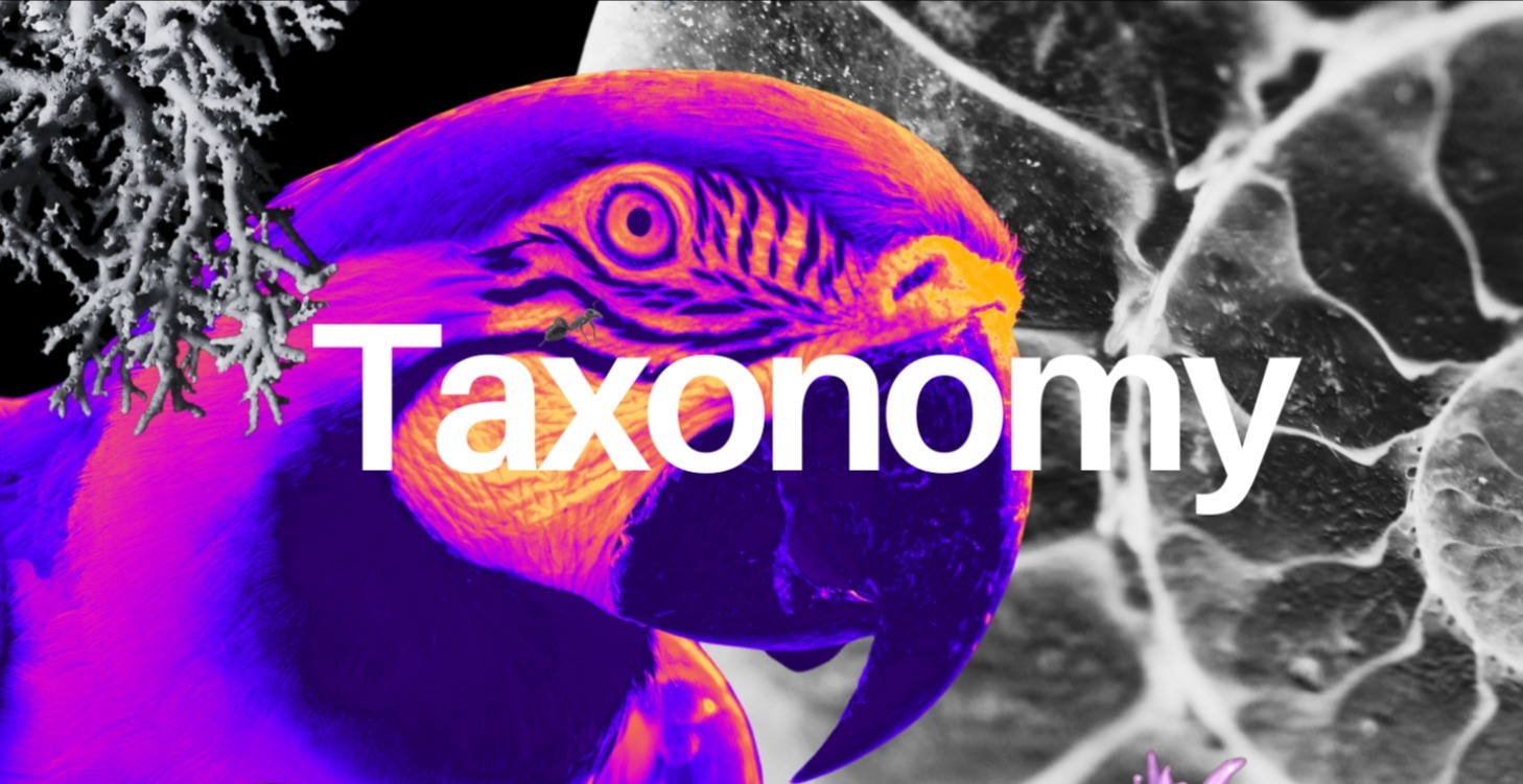 Taxonomy