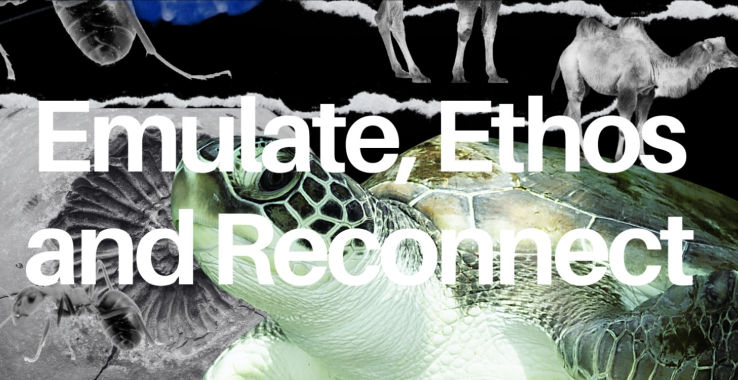 Emulate, Ethos & Reconnect