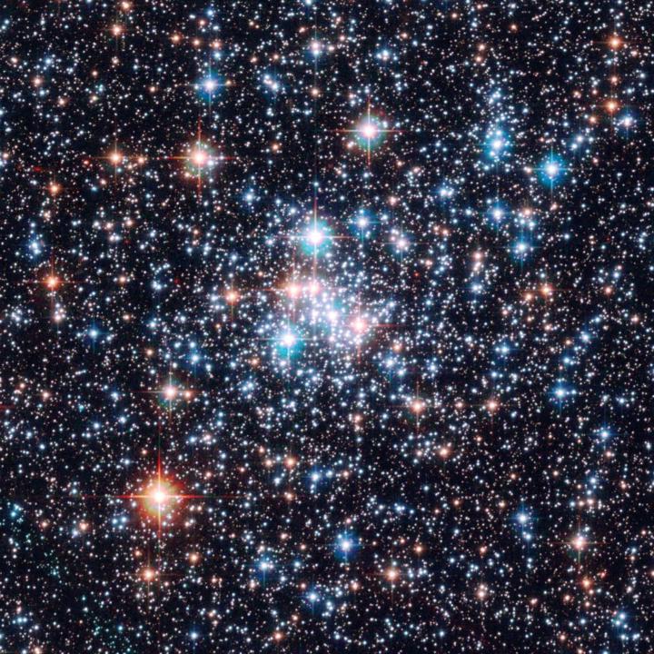 Victoria Star