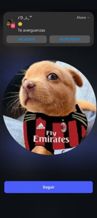 Misael Sarmiento Flores