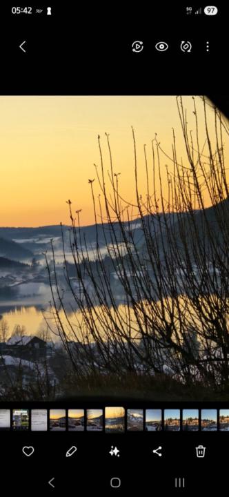 Christine Zimmermann