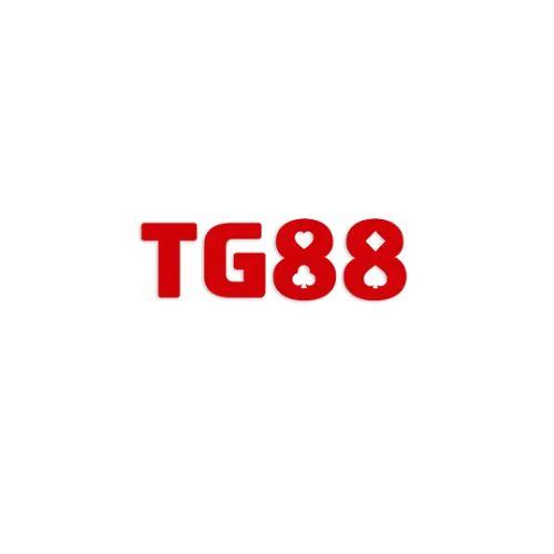 Tg Surf