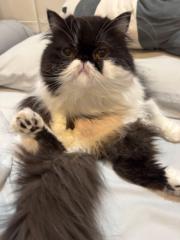 Varittha Kuansataporn