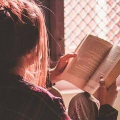 Author Muse