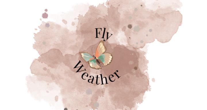 FlyWeather by AR