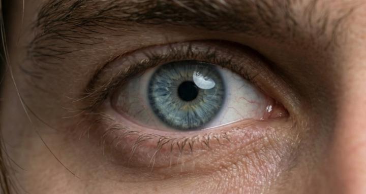 Campamento de realismo de IA