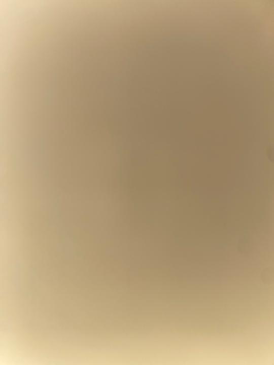 El Vog