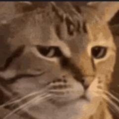 Calvin CgoEnterprises