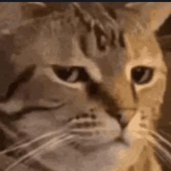 Calvin CgoEnterprises