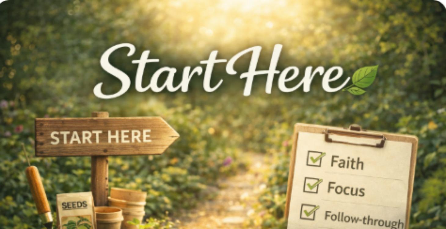 🌱 Start Here