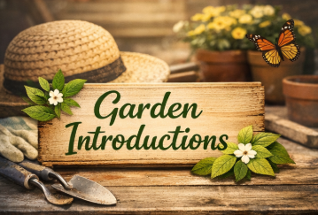 🌸Garden Introductions: Introduce Yourself