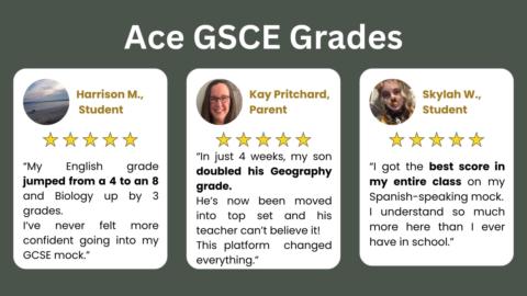 Level-Up - GCSE & A-Level Pro gallery image