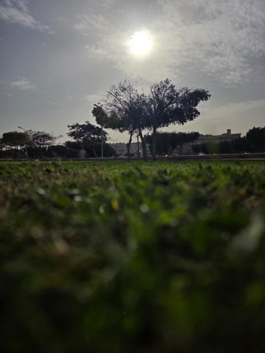 Ahmed Abdelfattah