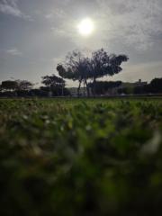 Ahmed Abdelfattah