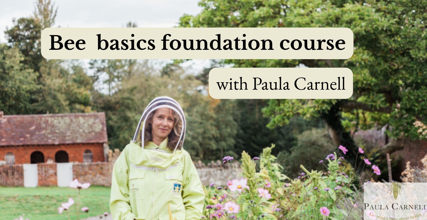 Bee Basics Foundation course