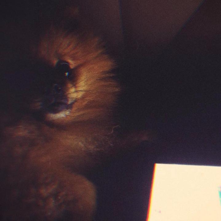 Pattarapon Khongthong