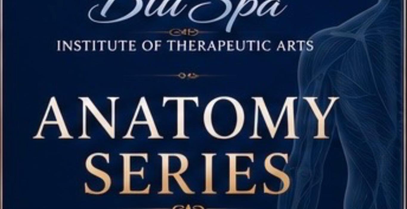 Anatomy Series