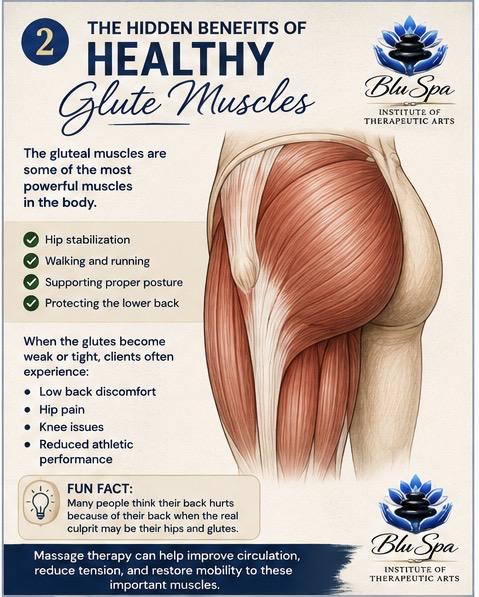 The Hidden Benefits of Healthy Glute Muscles