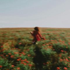 Sandra W