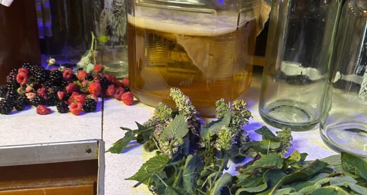 Livin Well With Danielle