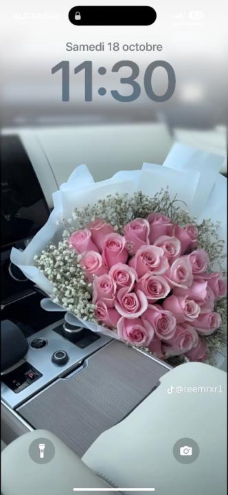 Hala Lily