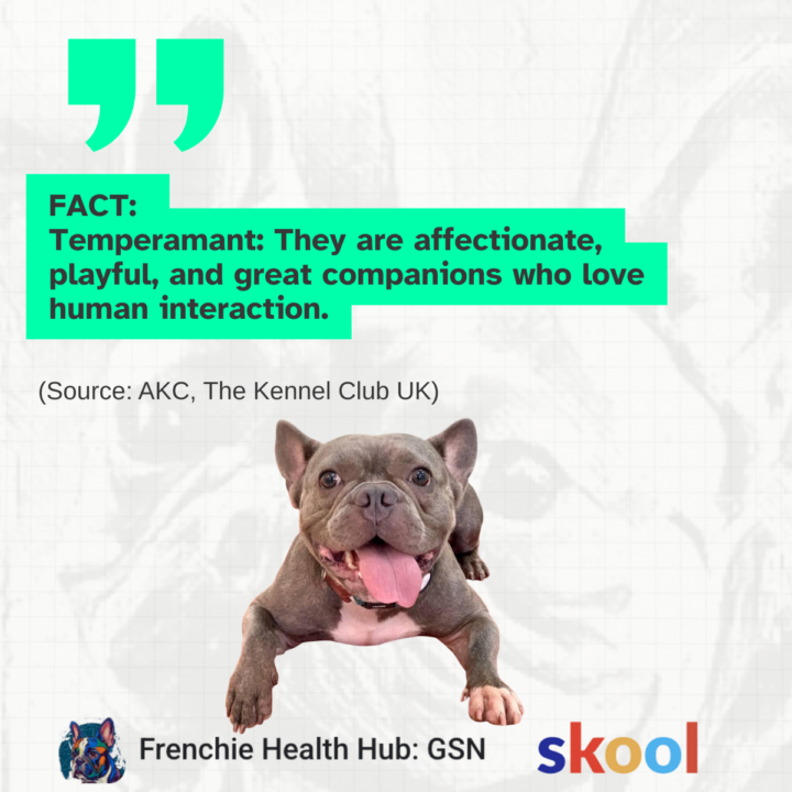 🐾 French Bulldogs: Fact-Checked Facts vs. Fiction