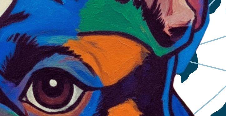 Heat Safety & Summer Care