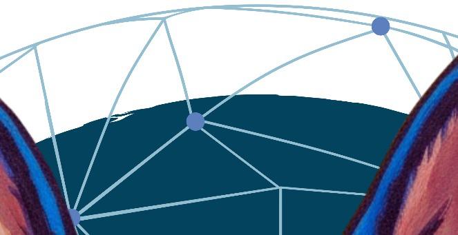 IVDD Information and Resources