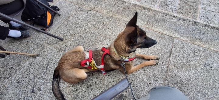 Carolina Martín Cortijo