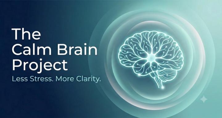 The Calm Brain Project