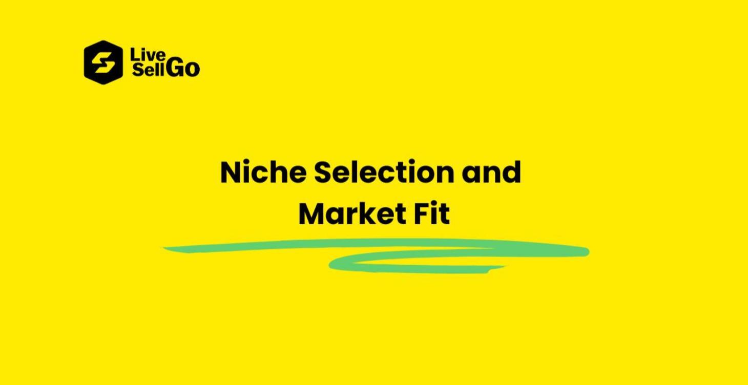 Niche Selection and Market Fit