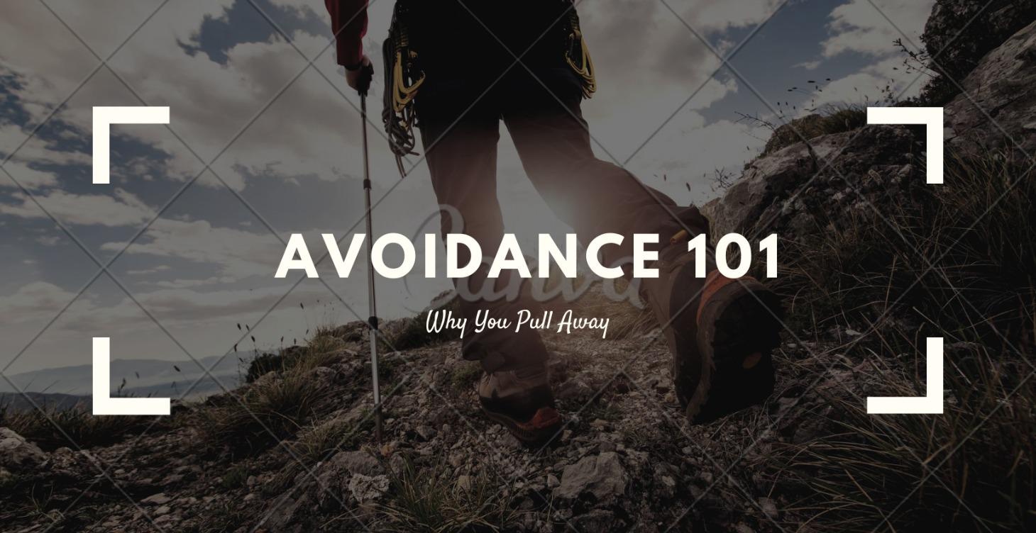 Avoidance 101: Understanding the Protective System