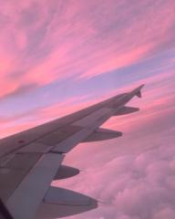 Travelista Inspo