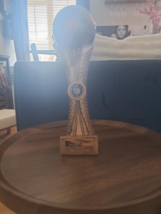 Managers player