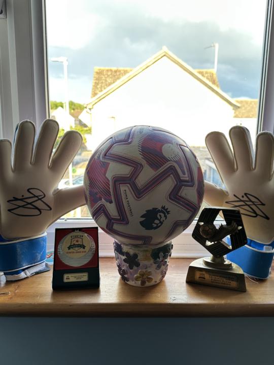 Pickford gloves