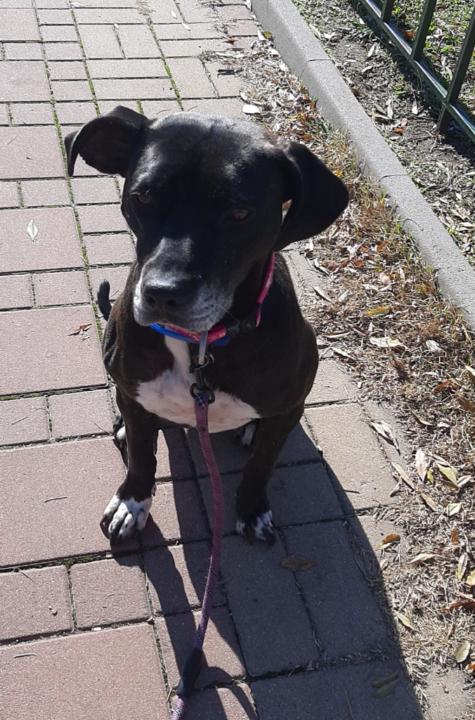 Елеонора Христова