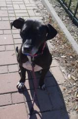 Елеонора Христова