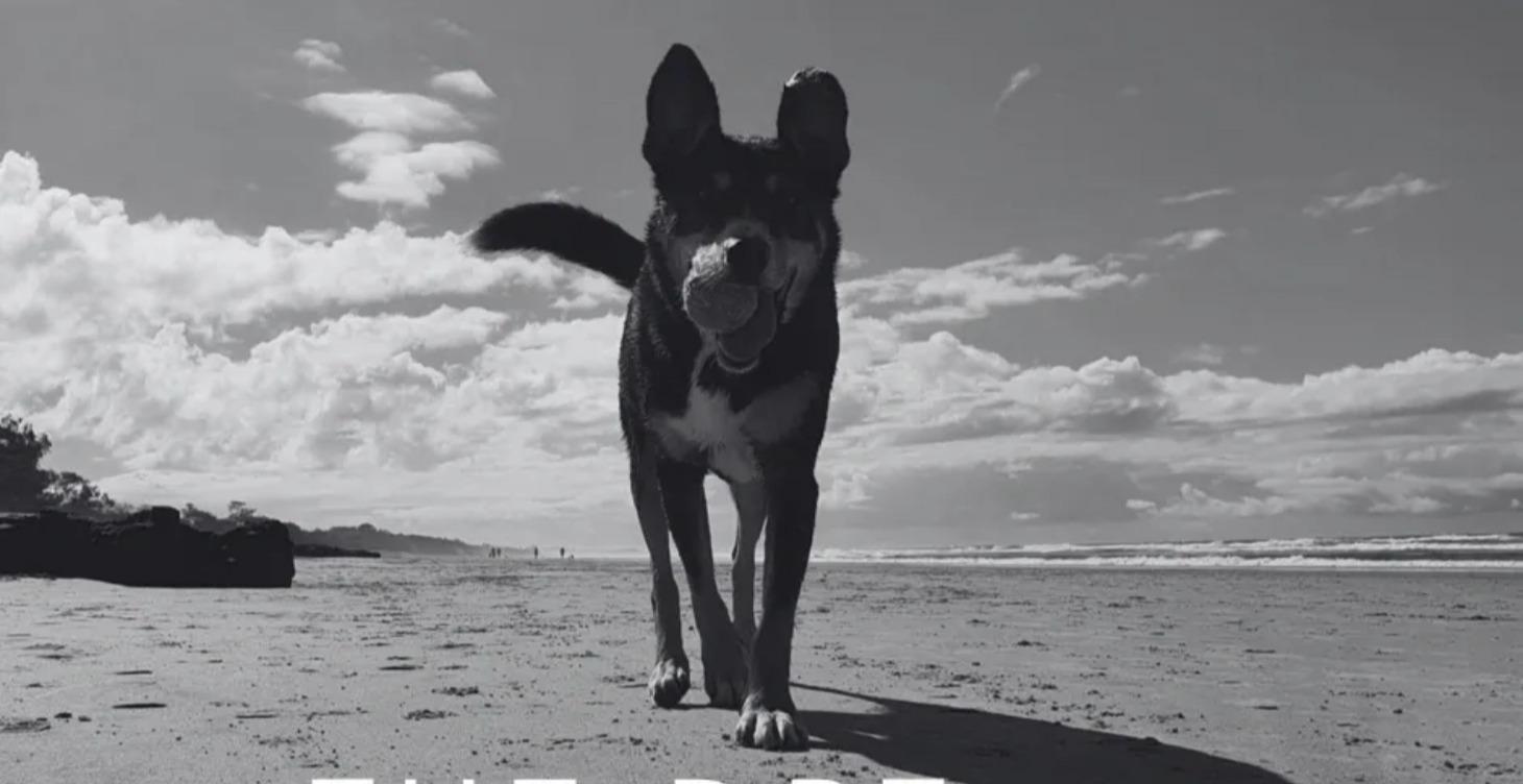 Beyond the Furr Workbook