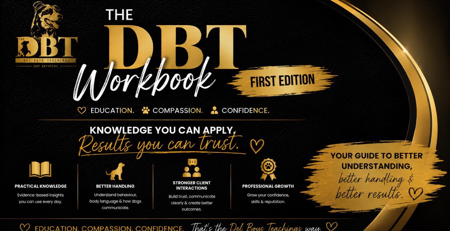 The DBT workbook first edition