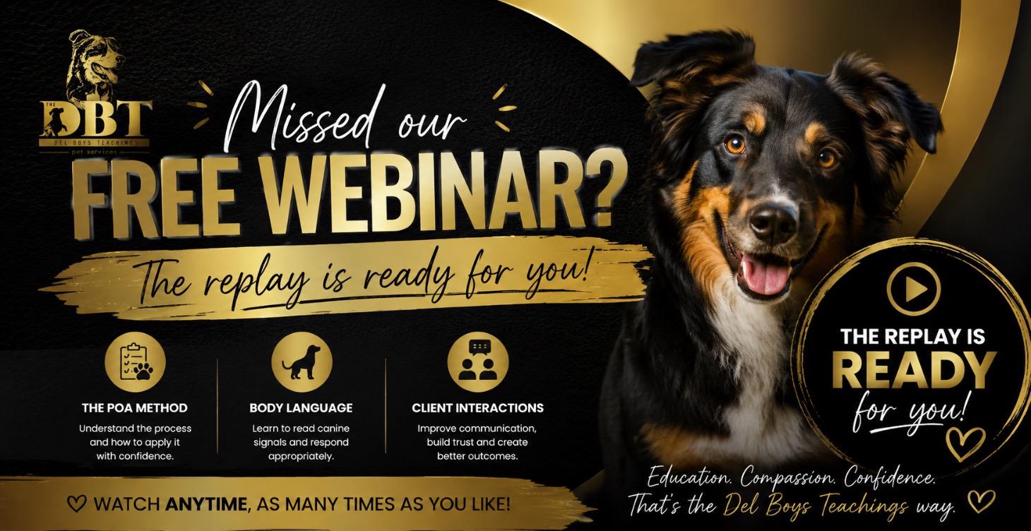 Free behavioural grooming reply!