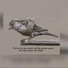 Margaret Maitland-Webb