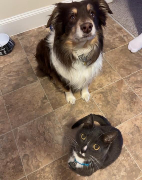 The Boys 