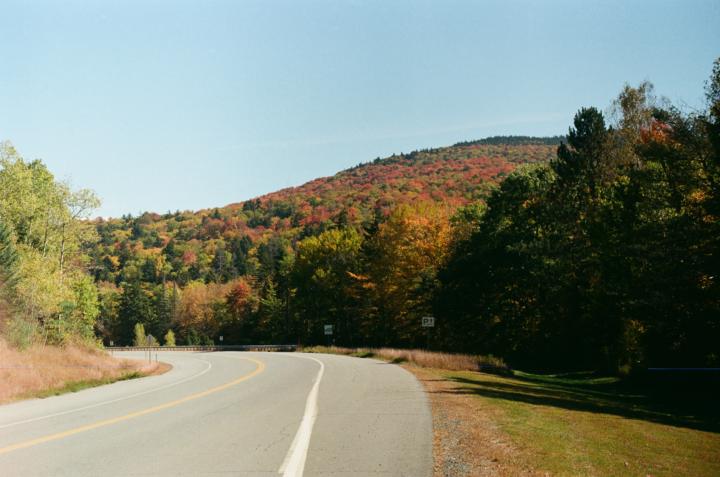 New Hampshire ♥️ 
