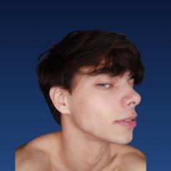 Arc Official