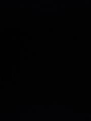 Luz Eliana Céspedes Reynoso