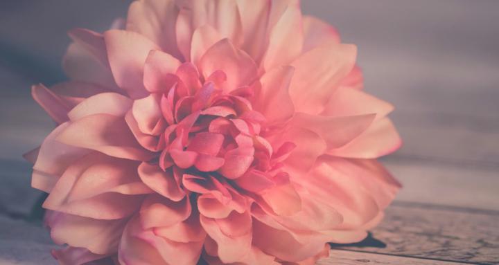  Balanced Care Community