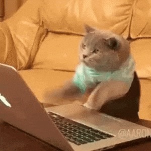 Tech Support