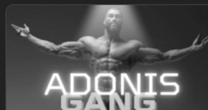 New Adonis Gang